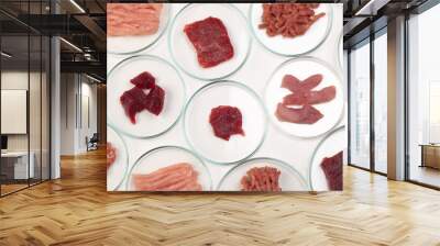 Checking meat quality in a laboratory. Chicken, beef and pork samples in petri dishes, top view. Food quality concept. Wall mural