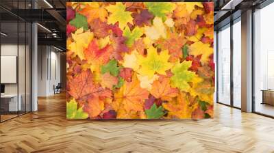 Colorful fall leaves background Wall mural