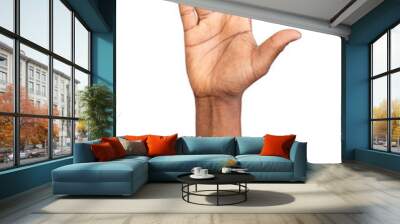 Male hand showing Vulcan Salute isolated on white or transparent background. Wall mural