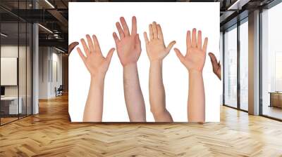 Many hands up isolated on white background Wall mural