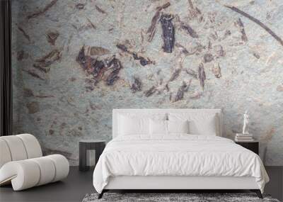 High-resolution image displaying a textured stone surface. Wall mural