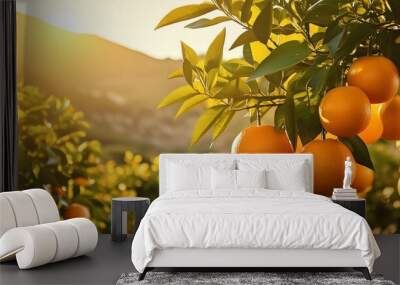 Photo of citrus trees in the California sun. Juicy fruit, bright green leaves, warm light. Wall mural