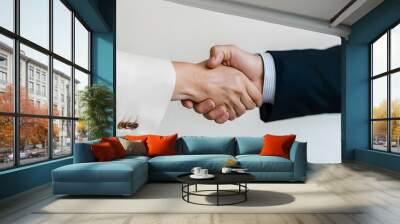 handshake between two professionals Wall mural