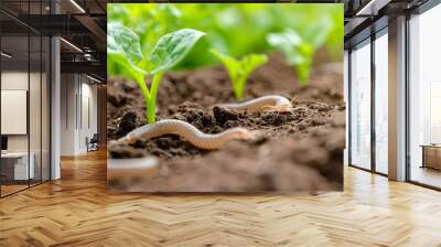 lush vegetable garden with earthworms to improve the soil Wall mural