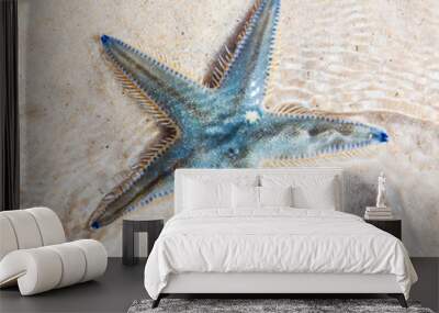 Starfish on the beach in Thailand Wall mural