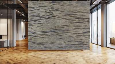 Wood texture background.  wood texture for design and decoration. Wood texture  for copy space. wooden for text. Wall mural