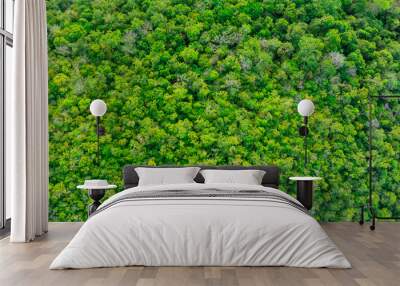 aerial view of dark green forest Abundant natural ecosystems of rainforest. Concept of nature forest preservation and reforestation.	
 Wall mural