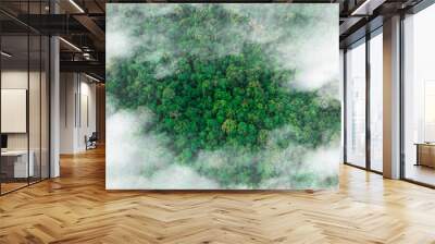 aerial view of fog and dark green forest Rich natural ecosystem, rainforest, natural forest conservation concept. Wall mural