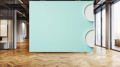 Light mint with a single white circle in the top right corner, pastel minimalist, subtle detail Wall mural