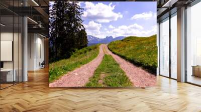 Hiking road in the countryside in the Alps Wall mural