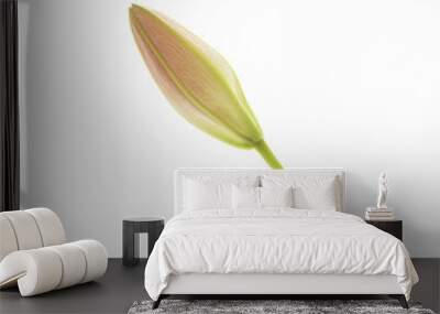 Lily on white background Wall mural