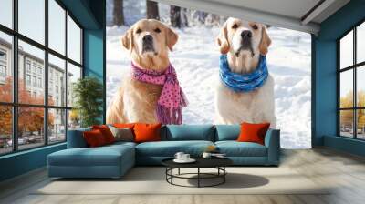 Portrait of two young golden retriever Wall mural