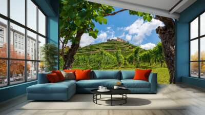 View between two vines to the ruins of the castle in Staufen im Breisgau in front of a bright blue sky Wall mural