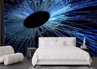 abstract radial fiber structure Wall mural