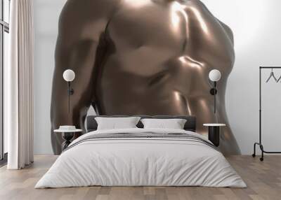 male torso metallic colors Wall mural