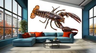 crayfish isolated Wall mural