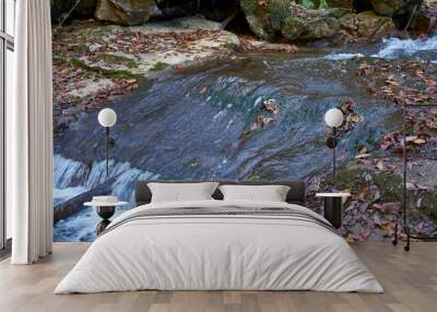 Image of a mountain stream in the autumn forest. Wall mural