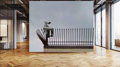 Security surveillance camera on the fence. Wall mural