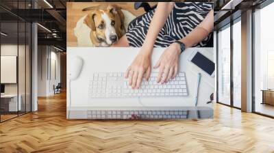 Going to work with pets concept: woman working at desktop computer with dog next to her. Top view of business woman at office desk and a staffordshire terrier puppy in her feet Wall mural