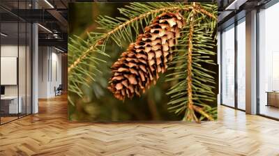 Pine cone close up selective focus in blurred background Wall mural