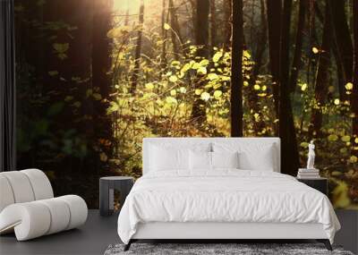 Dark forest illuminated by yellow sunlight Wall mural