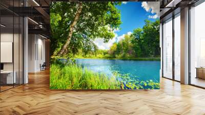 Clean lake in green spring summer forest Wall mural