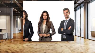 Collection of diverse young business people isolated on transparent white background. Men and women Wall mural