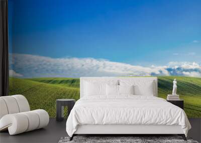 Green field and blue sky with clouds. Wall mural