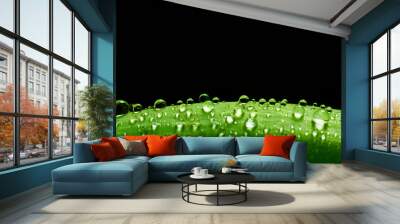 Green fresh leaf with water drops on its surface. Nature Wall mural