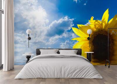 Sunflower and blue sunny sky Wall mural