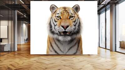 Tiger portrait isolated on white Wall mural