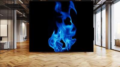 Blue fire on a black background Wall mural