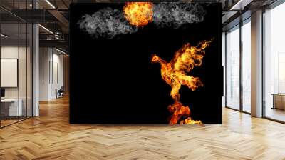 burning fiery bird flies on a black background Wall mural