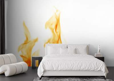 Fire flames on a white background. Wall mural