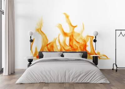 Fire flames on a white background. Wall mural