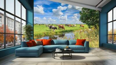 Dutch polder and meadow landscape in the summer with juicy green grass and grazing black and brown white cows against a horizon with hedgerows and farms and a  Dutch cloudy sky Wall mural