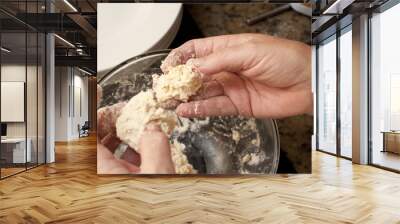 chef making dumplings Wall mural