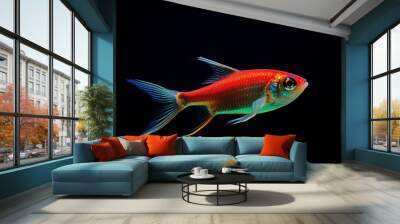 Professional photo of cardinal tetra, fish Wall mural