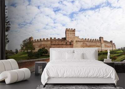 fort of walled city cittadella Wall mural