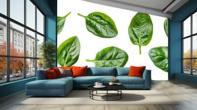 spinach leaves isolate on white background. Healthy food. Top view. Wall mural