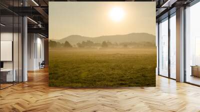 Golden field in morning sun Wall mural