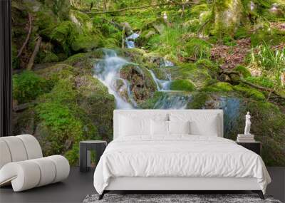 French countryside - Vosges. A river with waterfall in the wild forests of the Vosges. Wall mural