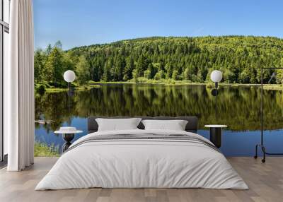 French countryside - Vosges. Panoramic view of a small natural lake in a valley of the Vosges. Wall mural