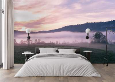 French landscape - Jura. View over a flower meadow in the early morning with a light fog. Wall mural