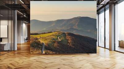 French landscape - Vosges. View from the Grand Ballon in the Vosges (France) towards the Jura and Alps in the early morning. Wall mural