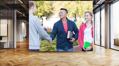 Diverse student camp Wall mural