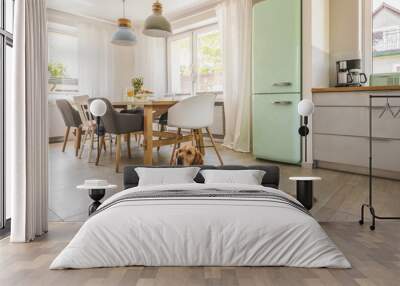 Dog next to dining table and chairs under lamps in house interio Wall mural