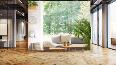 Plant and wooden tables in bright living room interior with grey sofa and window. Real photo Wall mural