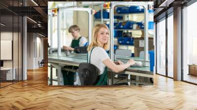 Woman working on production line Wall mural