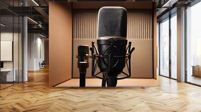 A large diaphragm studio microphone with a pop filter attached, positioned in front of a soundproofed wall in a vocal booth Wall mural